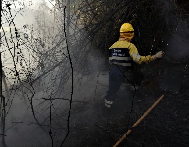 incendio forestal